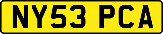 NY53PCA