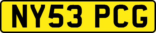 NY53PCG