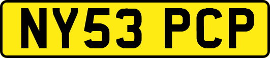 NY53PCP
