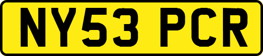 NY53PCR