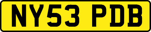 NY53PDB