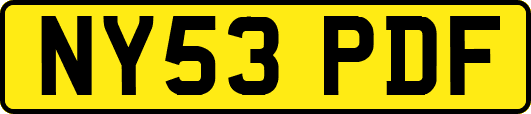 NY53PDF