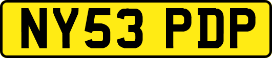 NY53PDP