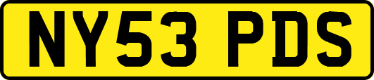NY53PDS