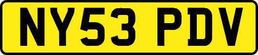 NY53PDV