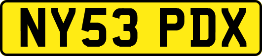 NY53PDX