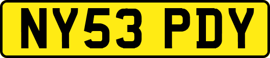 NY53PDY
