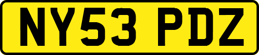 NY53PDZ