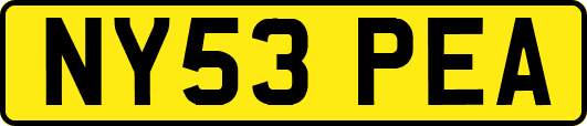 NY53PEA
