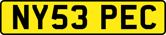 NY53PEC