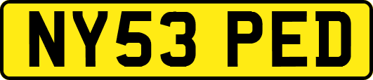 NY53PED