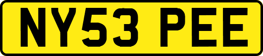 NY53PEE