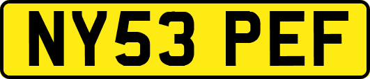 NY53PEF