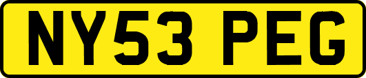 NY53PEG