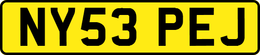 NY53PEJ