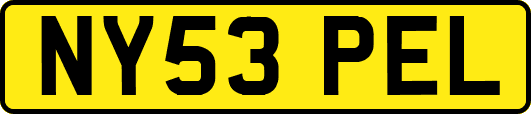 NY53PEL