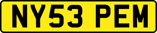 NY53PEM