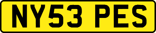 NY53PES