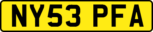 NY53PFA