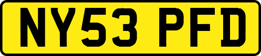 NY53PFD