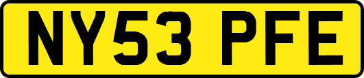 NY53PFE