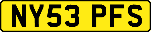 NY53PFS