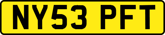 NY53PFT