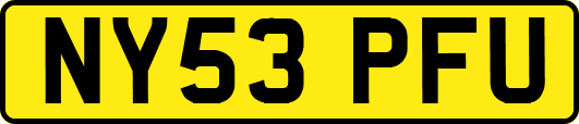 NY53PFU
