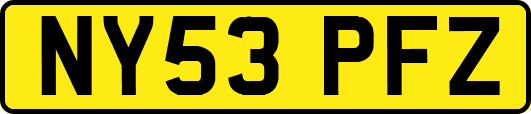 NY53PFZ