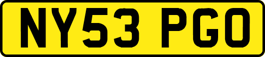 NY53PGO