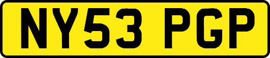 NY53PGP