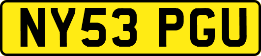 NY53PGU