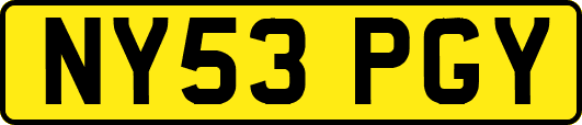 NY53PGY