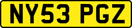 NY53PGZ