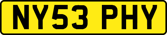 NY53PHY
