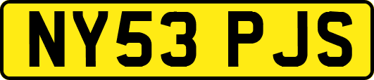 NY53PJS