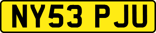 NY53PJU