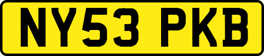 NY53PKB