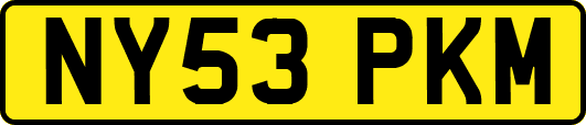 NY53PKM