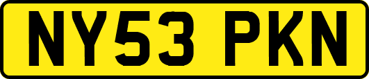 NY53PKN