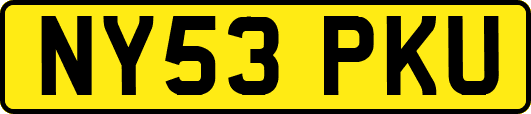 NY53PKU