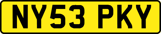 NY53PKY