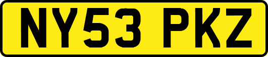 NY53PKZ