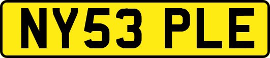 NY53PLE