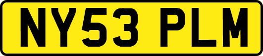 NY53PLM