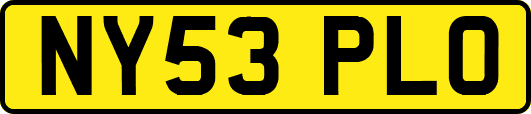 NY53PLO