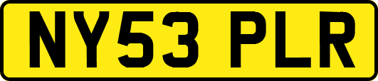 NY53PLR