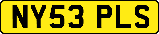 NY53PLS