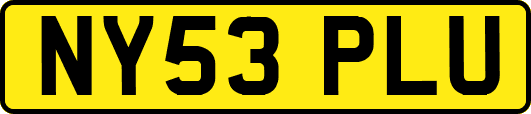 NY53PLU