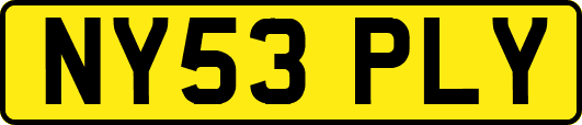 NY53PLY